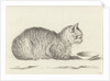 Reclining cat by Jean Bernard