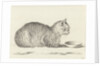 Reclining cat by Jean Bernard
