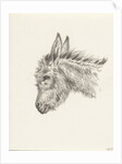 Head of a donkey by Jean Bernard