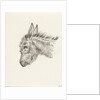 Head of a donkey by Jean Bernard