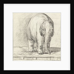 Standing elephant by Jean Bernard