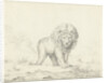 Running lion by Abraham Bloteling