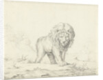 Running lion by Abraham Bloteling