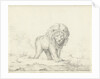 Running lion by Abraham Bloteling