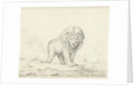 Running lion by Abraham Bloteling