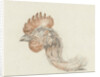 Head of a dead chicken by Jean Bernard