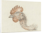 Head of a dead chicken by Jean Bernard