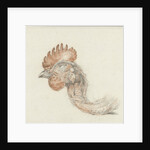 Head of a dead chicken by Jean Bernard