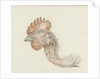 Head of a dead chicken by Jean Bernard