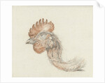 Head of a dead chicken by Jean Bernard