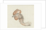 Head of a dead chicken by Jean Bernard