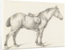 Standing horse by Jean Bernard