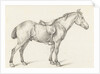 Standing horse by Jean Bernard