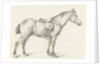 Standing horse by Jean Bernard