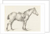 Standing horse by Jean Bernard