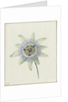 Passion Flower by Jean Bernard