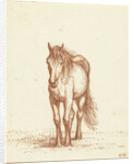 Horse by Jean Bernard