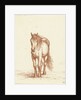 Horse by Jean Bernard