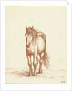 Horse by Jean Bernard