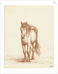Horse by Jean Bernard