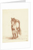 Horse by Jean Bernard