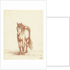 Horse by Jean Bernard