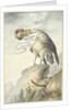 Vulture in its beak a sheet of paper by Circle of François Levaillant