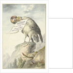 Vulture in its beak a sheet of paper by Circle of François Levaillant