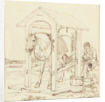 A horse by Johannes Vinkeles