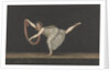 Dancer Annette Kobler by Bartholomeus Ziesenis