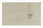 Studies of cows by Gerard Bilders