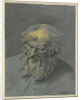 Head of an Old Man with beard (an apostle or philosopher) by Cornelis Troost