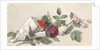 Bouquet of roses and geranium by Willem de Famars Testas