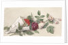 Bouquet of roses and geranium by Willem de Famars Testas