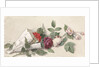 Bouquet of roses and geranium by Willem de Famars Testas