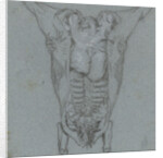 Hanging slaughtered animals by Jordanus Hoorn