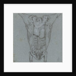 Hanging slaughtered animals by Jordanus Hoorn