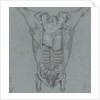Hanging slaughtered animals by Jordanus Hoorn