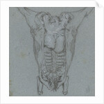 Hanging slaughtered animals by Jordanus Hoorn