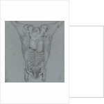 Hanging slaughtered animals by Jordanus Hoorn