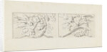 Design for two decorations in rectangular recessed surfaces by Bartholomeus Ziesenis