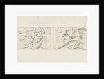 Design for two decorations in rectangular recessed surfaces by Bartholomeus Ziesenis
