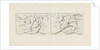 Design for two decorations in rectangular recessed surfaces by Bartholomeus Ziesenis