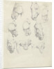 Nine anatomical studies of a horse head by Hendrik Voogd