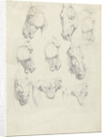 Nine anatomical studies of a horse head by Hendrik Voogd