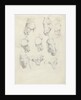 Nine anatomical studies of a horse head by Hendrik Voogd