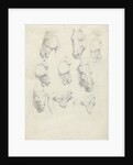 Nine anatomical studies of a horse head by Hendrik Voogd