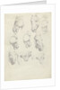 Nine anatomical studies of a horse head by Hendrik Voogd