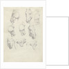 Nine anatomical studies of a horse head by Hendrik Voogd