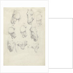 Nine anatomical studies of a horse head by Hendrik Voogd
